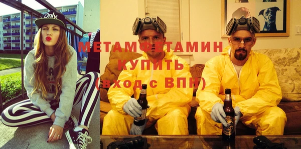 гидра Абаза