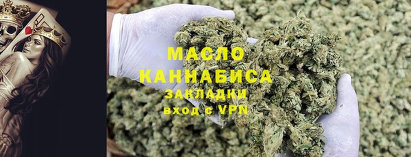 гидра Абаза