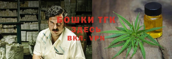 гидра Абаза